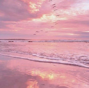 Meet your Posher, Zoe